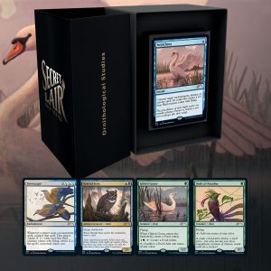 Secret Lair - Magic: The Gathering - Ornithological Studies