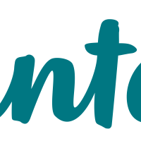 Logo Vinted
