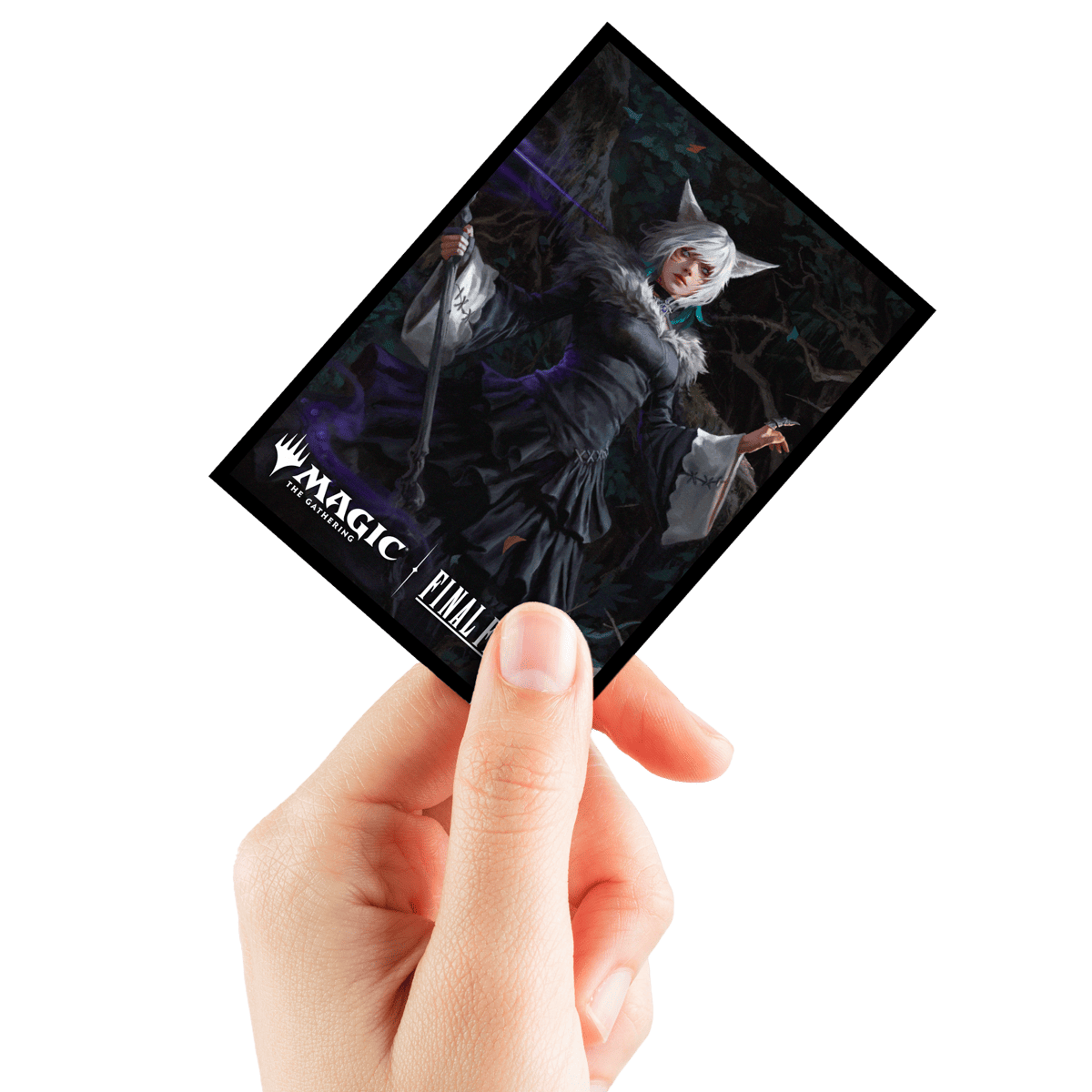 Gallery image for #11485